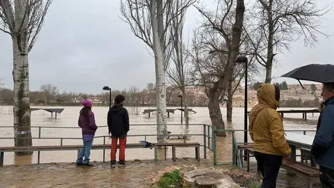 el r&iacute;o Duero a su paso por Zamora en un d&iacute;a nublado _23