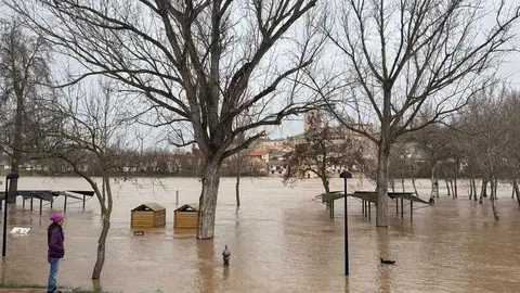 el r&iacute;o Duero a su paso por Zamora en un d&iacute;a nublado _26