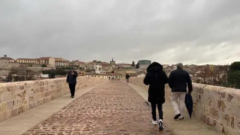 el r&iacute;o Duero a su paso por Zamora en un d&iacute;a nublado _27
