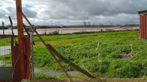 La Rinconada Zamora crecida del Duero _7