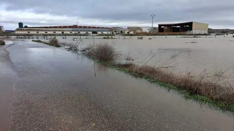 La Rinconada Zamora crecida del Duero _8
