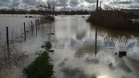 La Rinconada Zamora crecida del Duero _10
