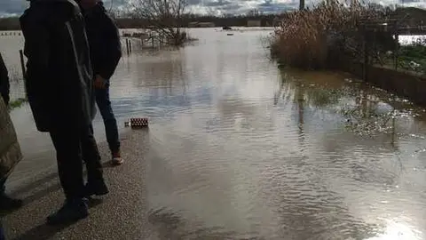 La Rinconada Zamora crecida del Duero _11