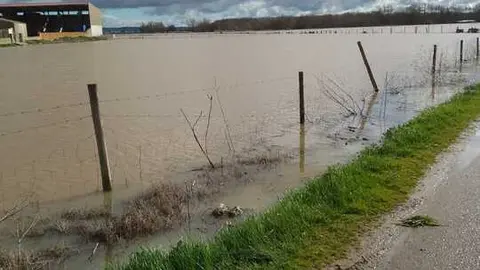 La Rinconada Zamora crecida del Duero _13