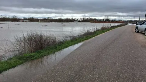 La Rinconada Zamora crecida del Duero _14