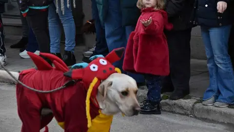 Desfile Infantil Carnaval Toro Martes _13