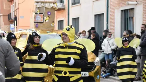 Desfile Infantil Carnaval Toro Martes _63