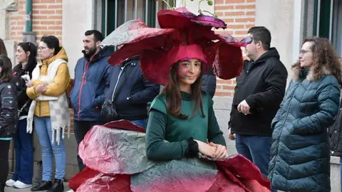 Desfile Infantil Carnaval Toro Martes _64