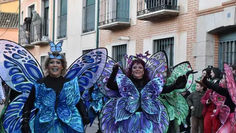 Desfile Carnaval Toro Martes _21