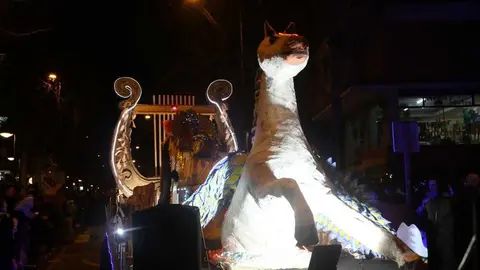 carnaval zamora 2026