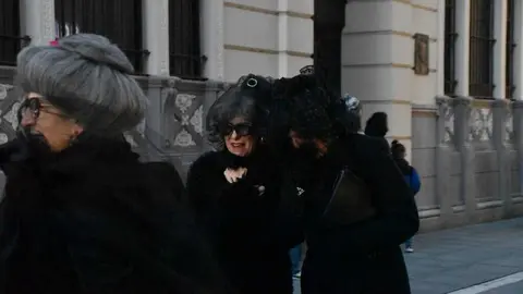 Entierro de la sardina 2026_10