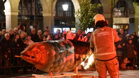 Entierro de la sardina 2026_60