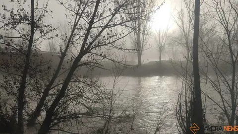 Niebla y sol en Zamora _8