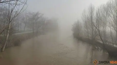 Niebla y sol en Zamora _11