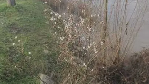 Niebla y sol en Zamora _13