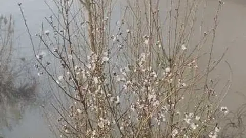 Niebla y sol en Zamora _15