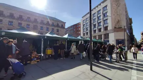 mercado ecol&oacute;gico _10