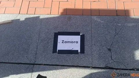Zamora presente en la manifiestaci&oacute;n de la Sanidad en Valladolid  _3