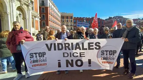 Zamora presente en la manifiestaci&oacute;n de la Sanidad en Valladolid  _10