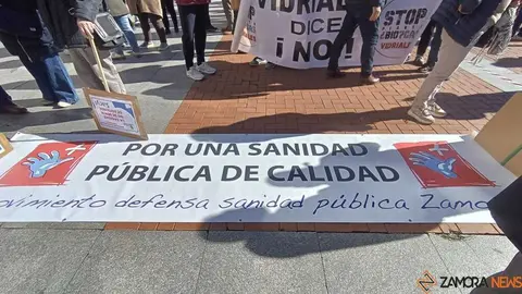 Zamora presente en la manifiestaci&oacute;n de la Sanidad en Valladolid  _11
