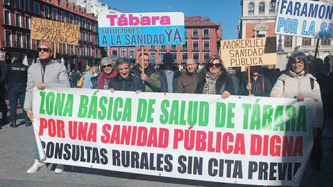 Zamora presente en la manifiestaci&oacute;n de la Sanidad en Valladolid  _13