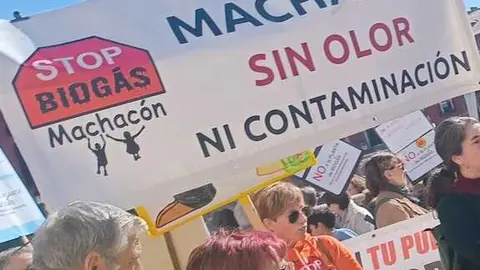 Zamora presente en la manifiestaci&oacute;n de la Sanidad en Valladolid  _16