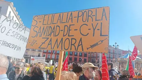 Zamora presente en la manifiestaci&oacute;n de la Sanidad en Valladolid  _17