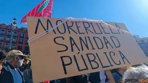 Zamora presente en la manifiestaci&oacute;n de la Sanidad en Valladolid  _18