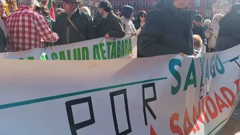Zamora presente en la manifiestaci&oacute;n de la Sanidad en Valladolid  _19
