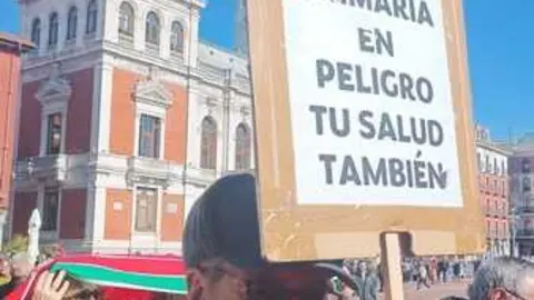 Zamora presente en la manifiestaci&oacute;n de la Sanidad en Valladolid  _26