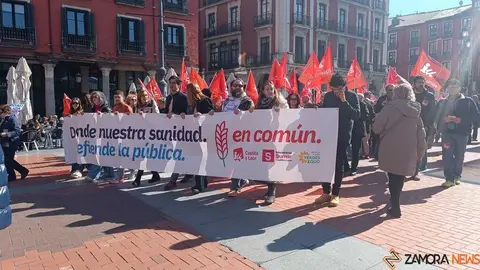 Zamora presente en la manifiestaci&oacute;n de la Sanidad en Valladolid  _32