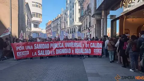 Zamora presente en la manifiestaci&oacute;n de la Sanidad en Valladolid  _34