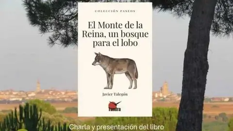 Presentaci&oacute;n libro del toresano Javier Taleg&oacute;n