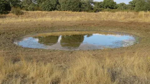 Laguna en Monte la Reina