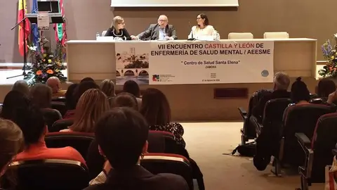 l VII Encuentro de Enfermer&iacute;a de Salud Mental de Castilla y Le&oacute;n en Zamora