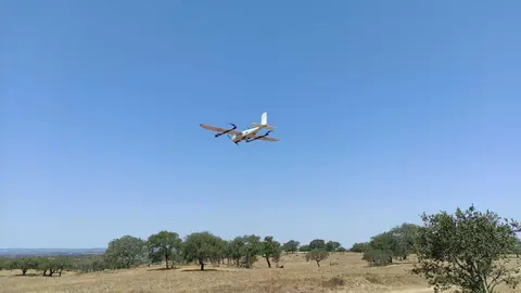 Toma de datos Ecosistema heterog&eacute;no 1