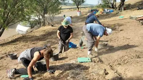Vaccea excavaci&oacute;n