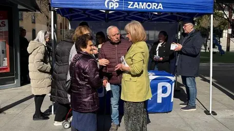 Leticia Garc&iacute;a, campa&ntilde;a elecciones 15M