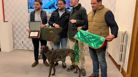   &ldquo;Uva de El Verdejo&rdquo;, galga que se proclam&oacute; subcampeona de Espa&ntilde;a en el Campeonato Nacional de Galgos