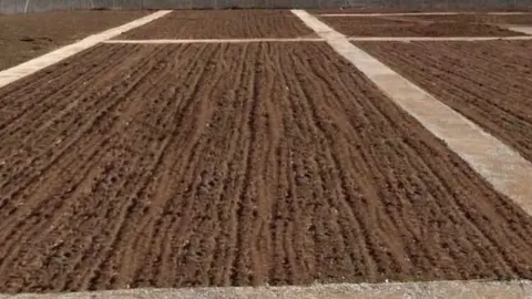 Parcela en Villaralbo para huertos de ocio