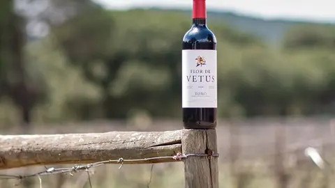 Vino Flor de Vetus. Foto Bodega Vetus