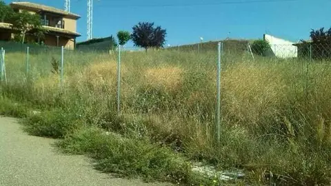 Zona de Bellavista. Foto Interbenavente