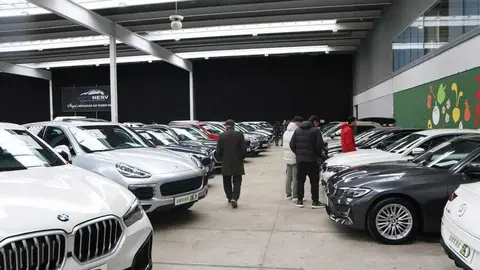 feria del stock Zamora _9