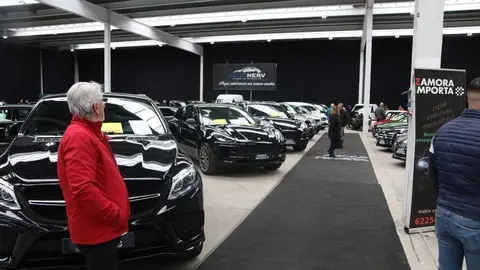 feria del stock Zamora _10