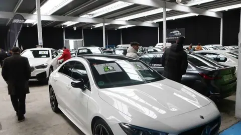 feria del stock Zamora _11