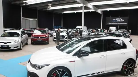 feria del stock Zamora _12