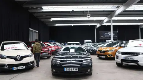 feria del stock Zamora _13