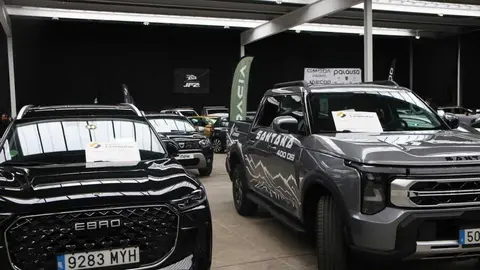 feria del stock Zamora _18