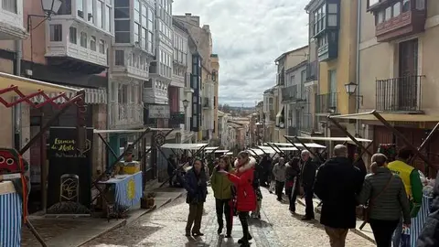 Mercado de Balborraz _6