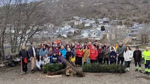 reforestaci&oacute;n en Porto de Sanabria  (1)